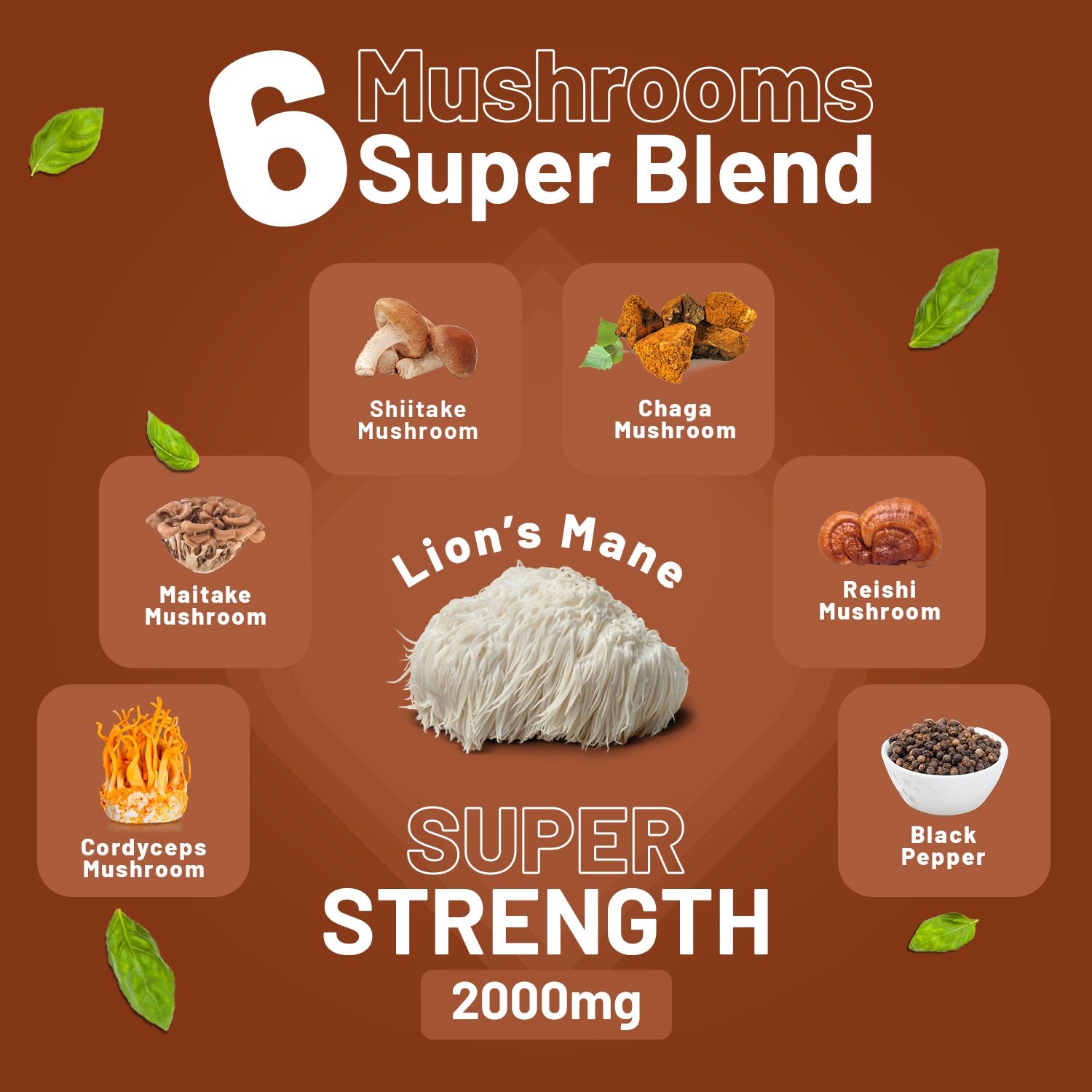 Advanced Mushroom Complex 2000mg - 6-Mushroom Blend, 120 Vegan Tablets (UK)