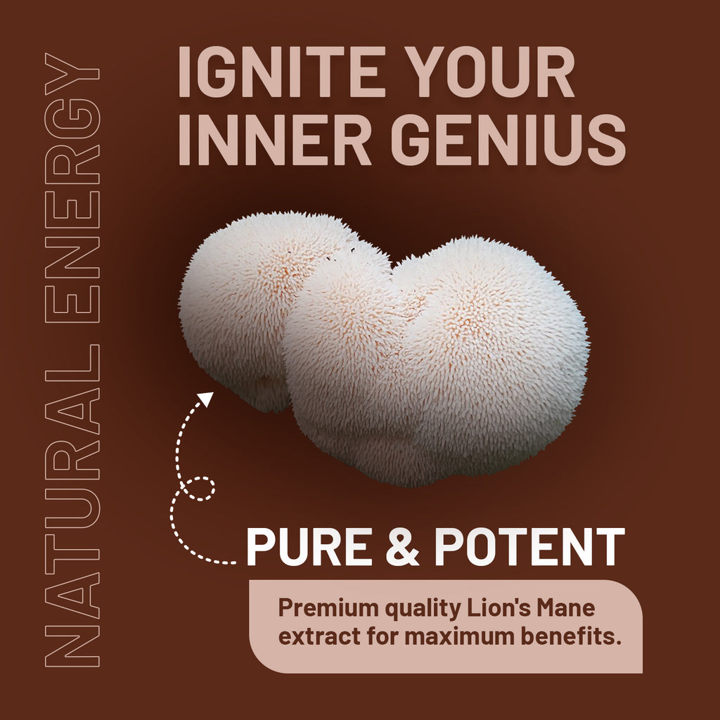 Lion's Mane 4000mg with B Vitamins & Black Pepper - 15:1 Extract