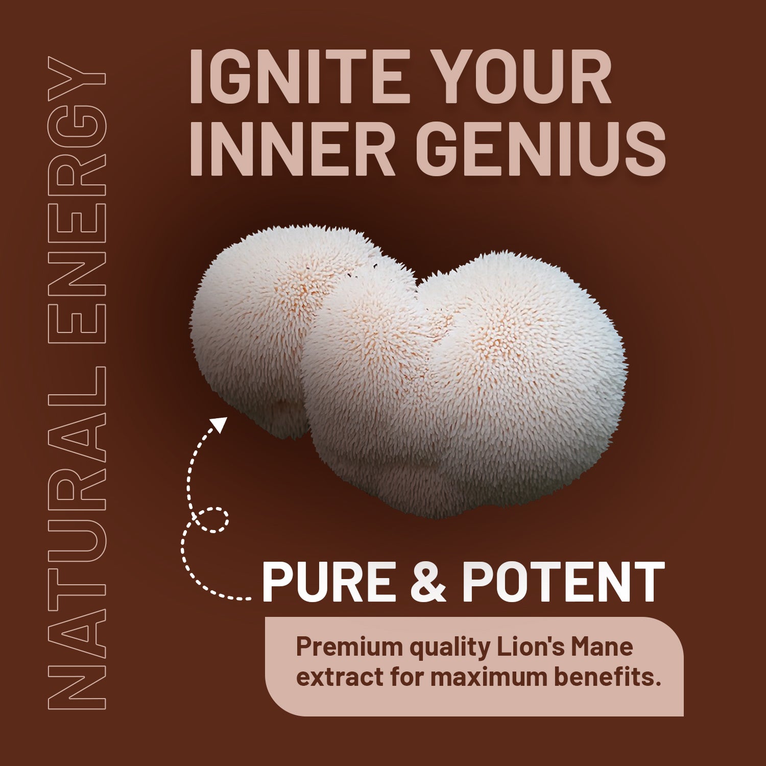 Lion's Mane 4000mg with B Vitamins & Black Pepper - 15:1 Extract